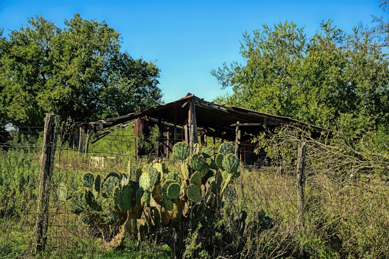Open countryside landscape under a clear sky